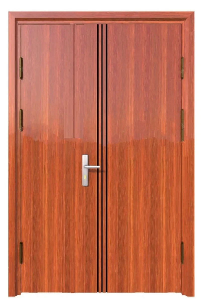 cửa thép vân gỗ mẹ bồng con