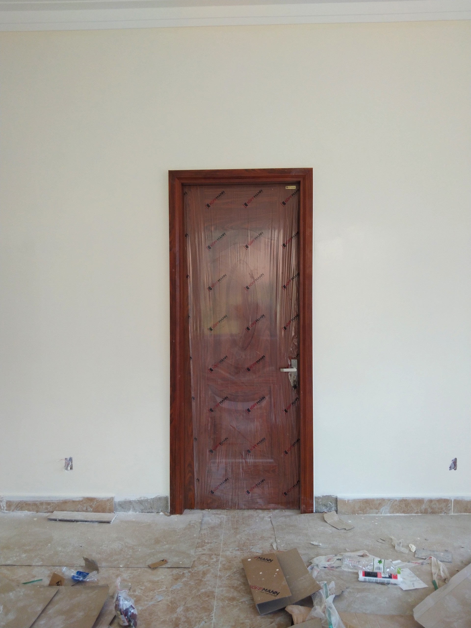 cửa thép vân gỗ 1 cánh